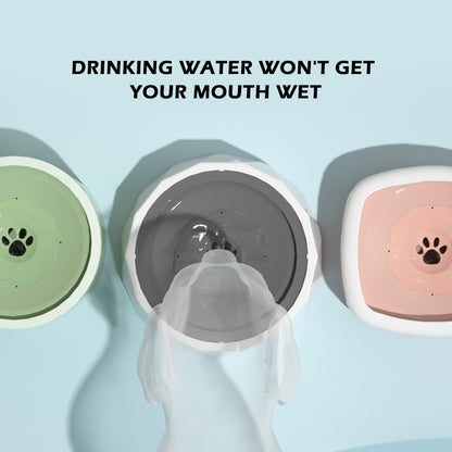 Pet Bowl for Cats and Dogs